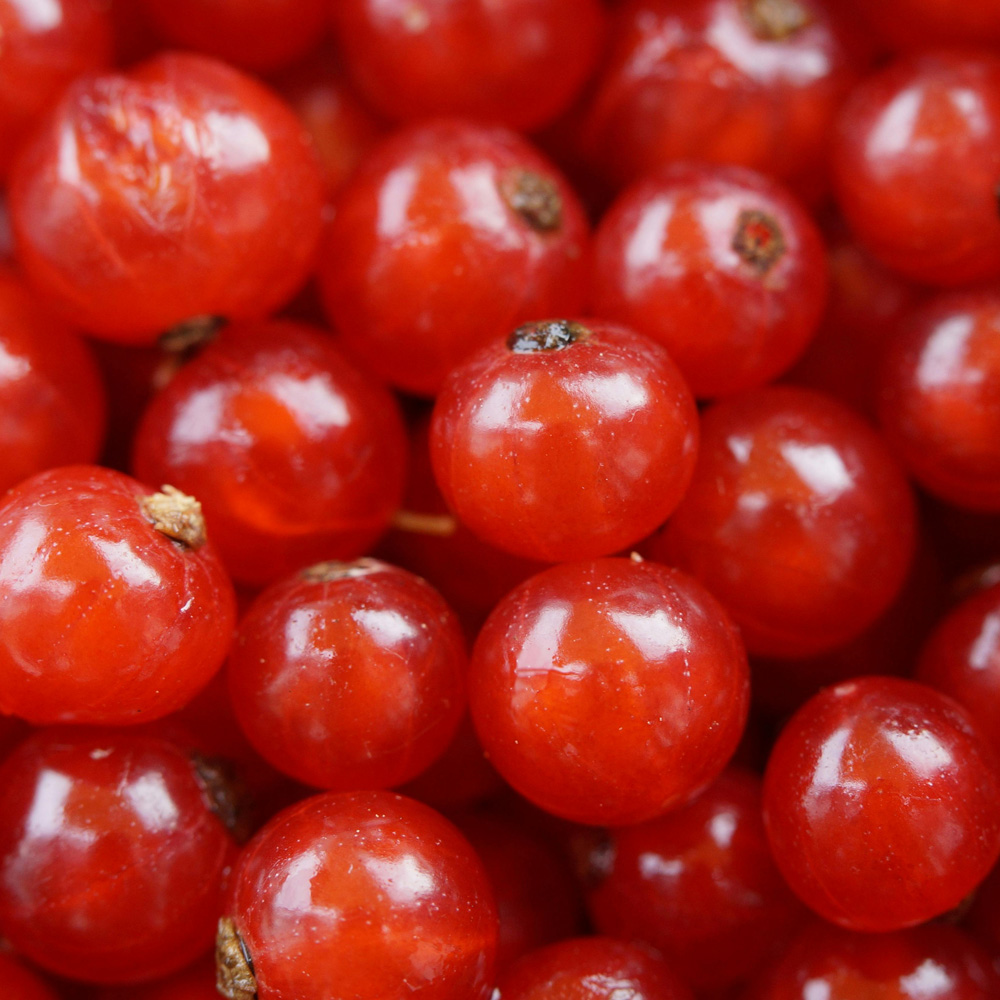 Joahnissbeeren-Eis