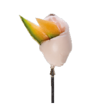 Meloneneis